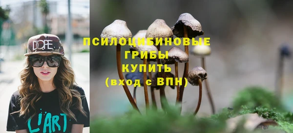 гидра Баксан